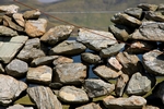 Dry stane dyke, West Burra, Shetland by Dave Banks