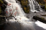 Fairy Pools, Glen Brittle, Skye by Dave Banks