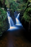 Pucks Glen, Strathclyde by Dave Banks