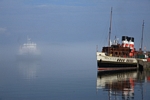 Waverley paddle steamer, Oban, Strathclyde by Dave Banks