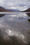 Loch Etive, Strathclyde by Dave Banks