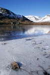 Kilchurn Castle, Loch Awe, Strathclyde by Dave Banks