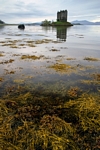 Castle Stalker, Strathclyde by Dave Banks