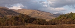 Woodland, Glen Orchy, Strathclyde by Dave Banks