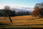 Birnam Hill, Dunkeld, Tayside by Dave Banks