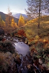 Sma Glen, Tayside by Dave Banks