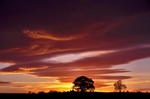 Sunset nr Murthly, Tayside by Dave Banks