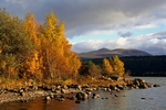 Loch Rannoch, Tayside by Dave Banks