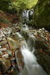 Burn at River Garry, Tayside by Dave Banks