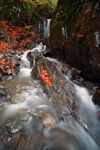 Burn at River Garry, Tayside by Dave Banks