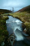 Burn, Glen Lyon, Tayside by Dave Banks