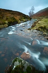Burn, Glen Lyon, Tayside by Dave Banks