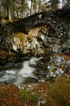 Lower Falls of Bruar, Tayside by Dave Banks