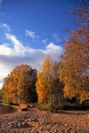 Loch Rannoch, Tayside by Dave Banks