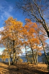 Loch Rannoch, Tayside by Dave Banks