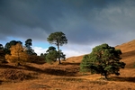 Glen Lyon, Tayside by Dave Banks