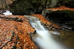Waterfall, Birks of Aberfeldy, Tayside by Dave Banks