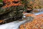 Waterfall, Birks of Aberfeldy, Tayside by Dave Banks