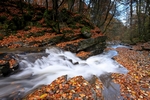 Waterfall, Birks of Aberfeldy, Tayside by Dave Banks