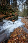 Waterfall, Birks of Aberfeldy, Tayside by Dave Banks