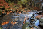 Waterfall, Birks of Aberfeldy, Tayside by Dave Banks