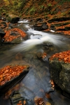 Waterfall, Birks of Aberfeldy, Tayside by Dave Banks