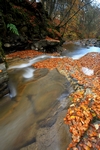 Waterfall, Birks of Aberfeldy, Tayside by Dave Banks
