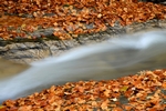 Waterfall, Birks of Aberfeldy, Tayside by Dave Banks
