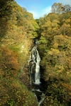 Black Spout, Pitlochry, Tayside by Dave Banks