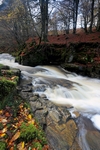 Waterfall, Birks of Aberfeldy, Tayside by Dave Banks