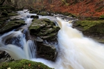 Waterfall, Birks of Aberfeldy, Tayside by Dave Banks