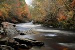 River Tilt, Tayside by Dave Banks