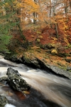River Tilt, Tayside by Dave Banks