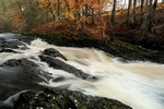 River Tilt, Tayside by Dave Banks