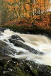 River Tilt, Tayside by Dave Banks