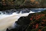 River Tilt, Tayside by Dave Banks
