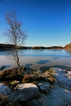 Craig Loch nr Dunkeld, Tayside by Dave Banks
