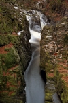 Hermitage, Dunkeld, Tayside by Dave Banks