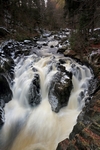 Hermitage, Dunkeld, Tayside by Dave Banks