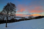 Glen Fender, Tayside by Dave Banks