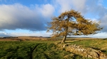 Drimmie nr Blairgowrie, Tayside by Dave Banks