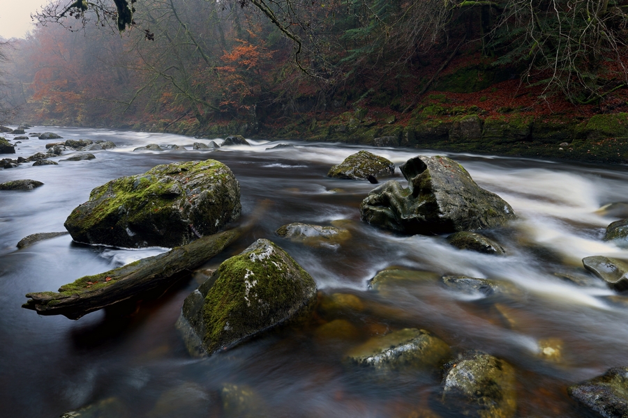 Latest Work by Dave Banks