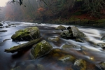 Hermitage, Dunkeld, Tayside by Dave Banks