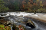 Hermitage, Dunkeld, Tayside by Dave Banks