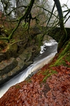 Hermitage, Dunkeld, Tayside by Dave Banks