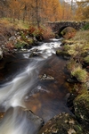 Pack Horse Bridge, Sma Glen, Tayside by Dave Banks