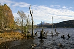 Schiehallion & Loch Rannoch, Tayside by Dave Banks