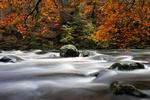 River Braan, Tayside by Dave Banks