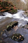 Waterfall, Birks of Aberfeldy, Tayside by Dave Banks