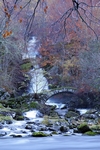Roman Bridge, Glen Lyon, Tayside by Dave Banks